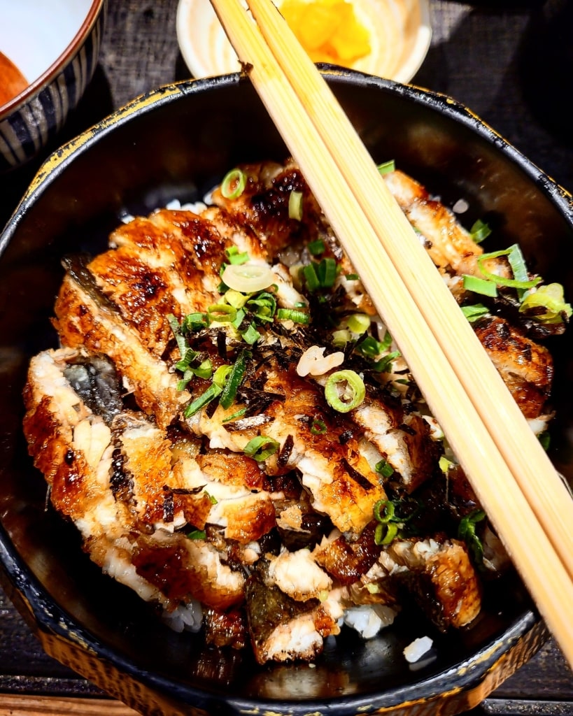 Bowl of unagi or Japanese eel