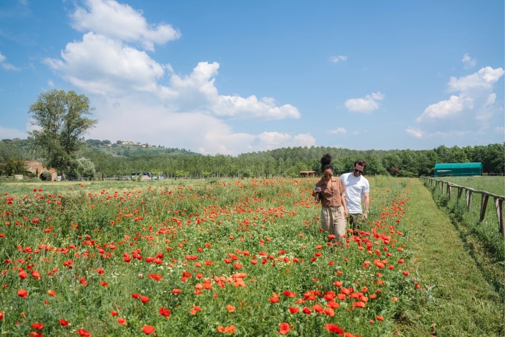 Couple exploring the fields of Tuscany