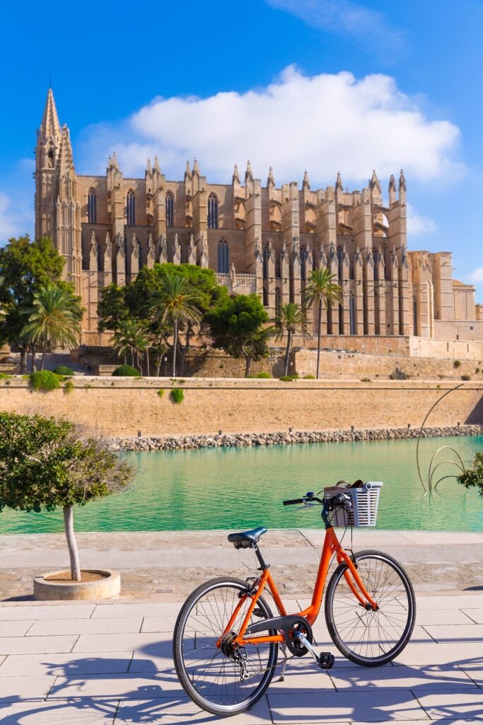 View while biking near Palma Cathedral