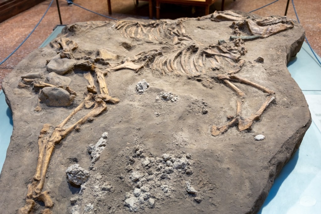 View inside Museo Civico Archeologico in Bologna