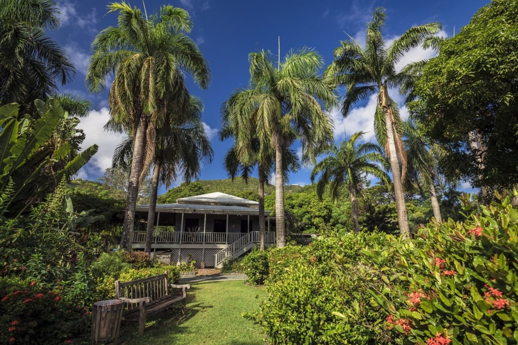 Lush landscape of J. R. O’Neal Botanic Gardens