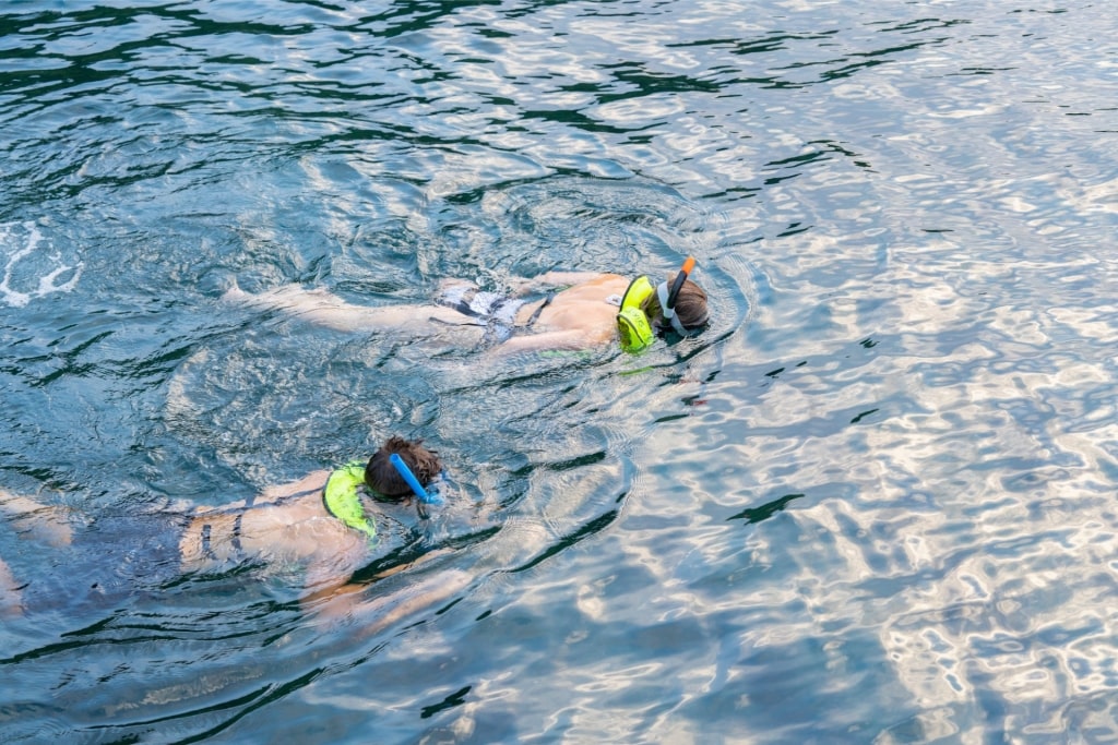 People wearing snorkeling gear