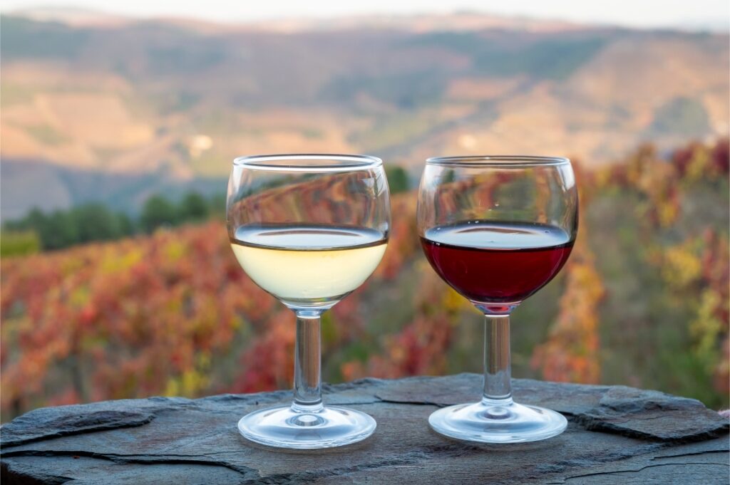 Glasses of wine with a view of Douro Valley