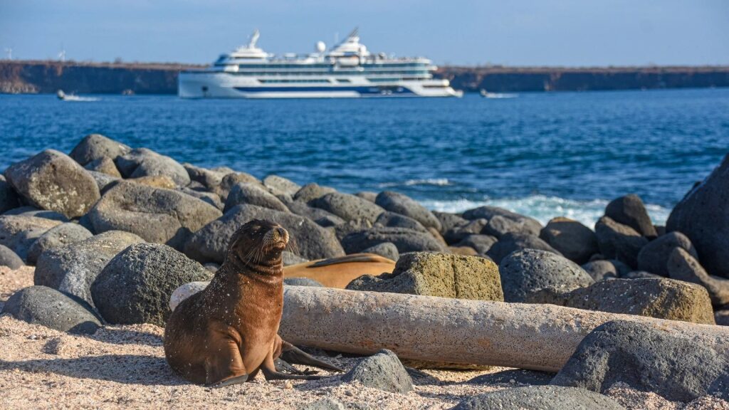 Best cruises for singles over 50 - Galapagos