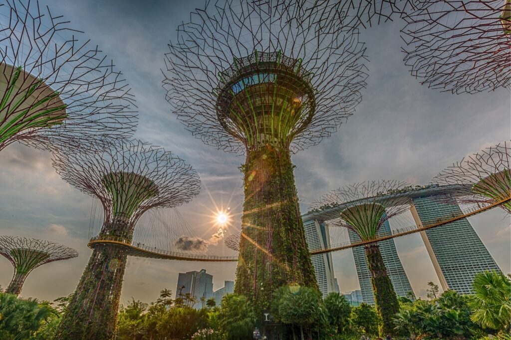 Massive trees in Gardens by the Bay, Singapore