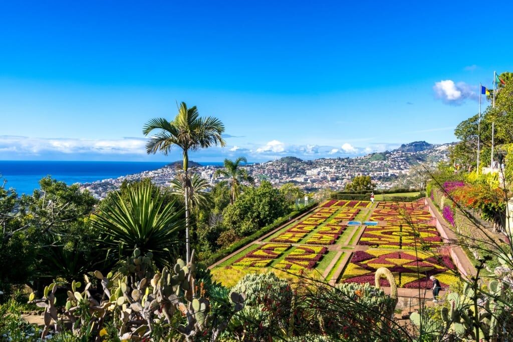 Colorful landscape of Botanical Gardens in Madeira, Portugal