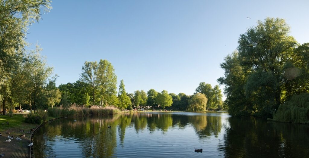 Lush landscape of Oosterpark