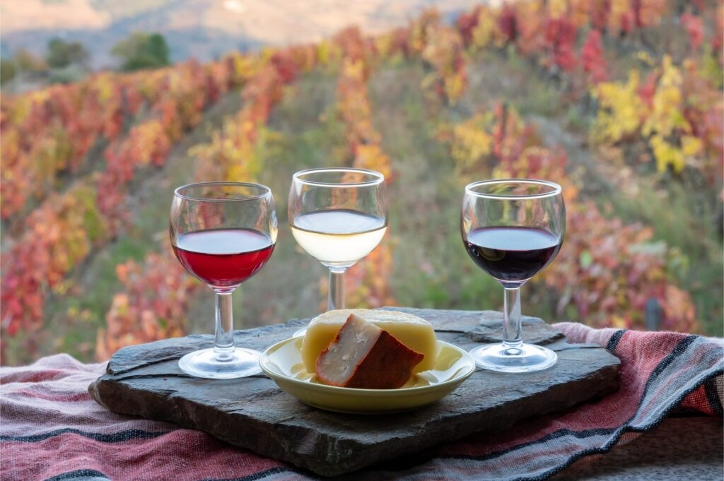 Port wine with view of Douro