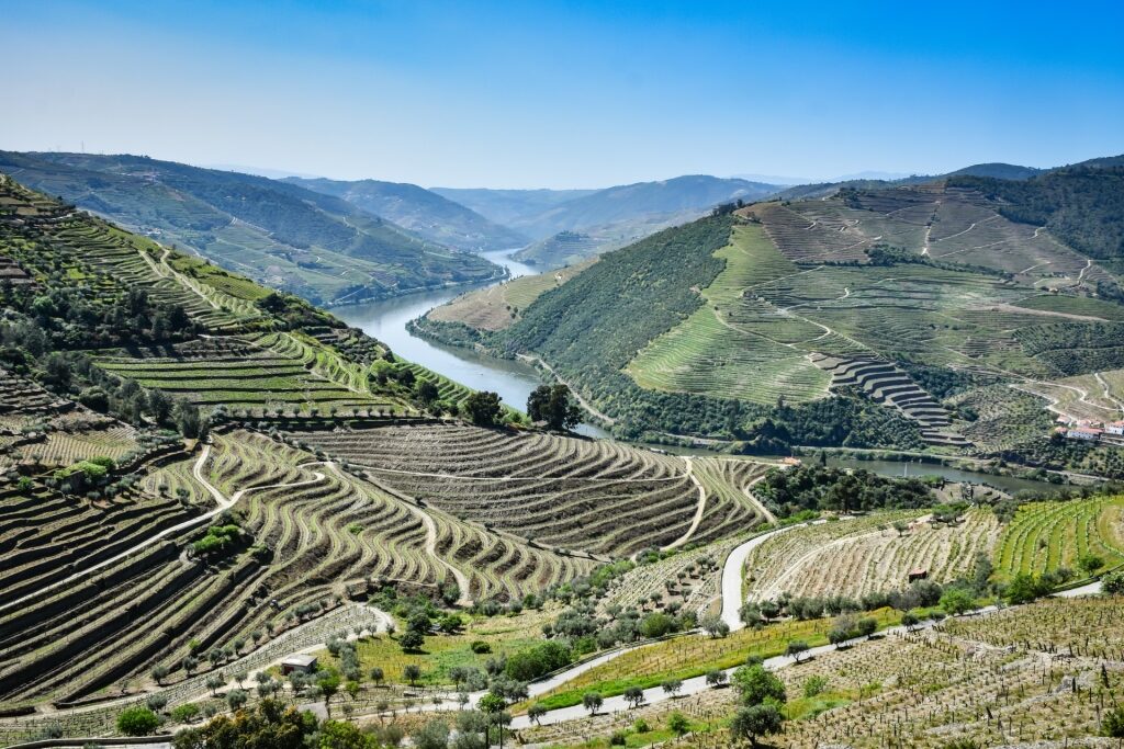 Scenic landscape of Douro Valley