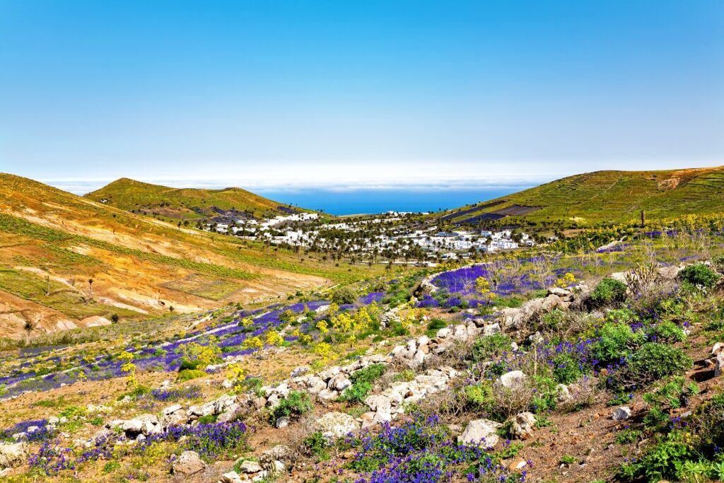 Quaint town of Haria, Lanzarote