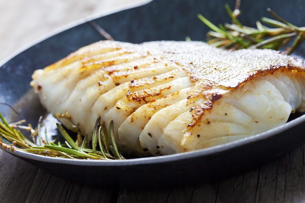 Plate of Atlantic cod