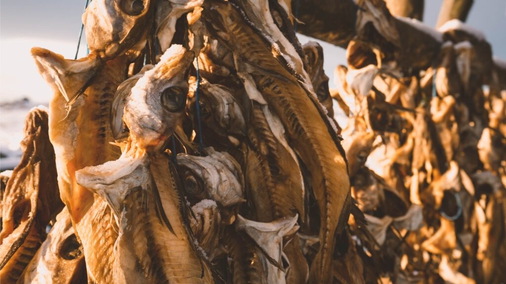 Dried fish or harðfiskur in Iceland