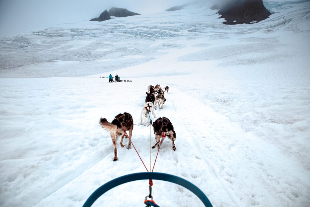 View while dog sledding in Alaska