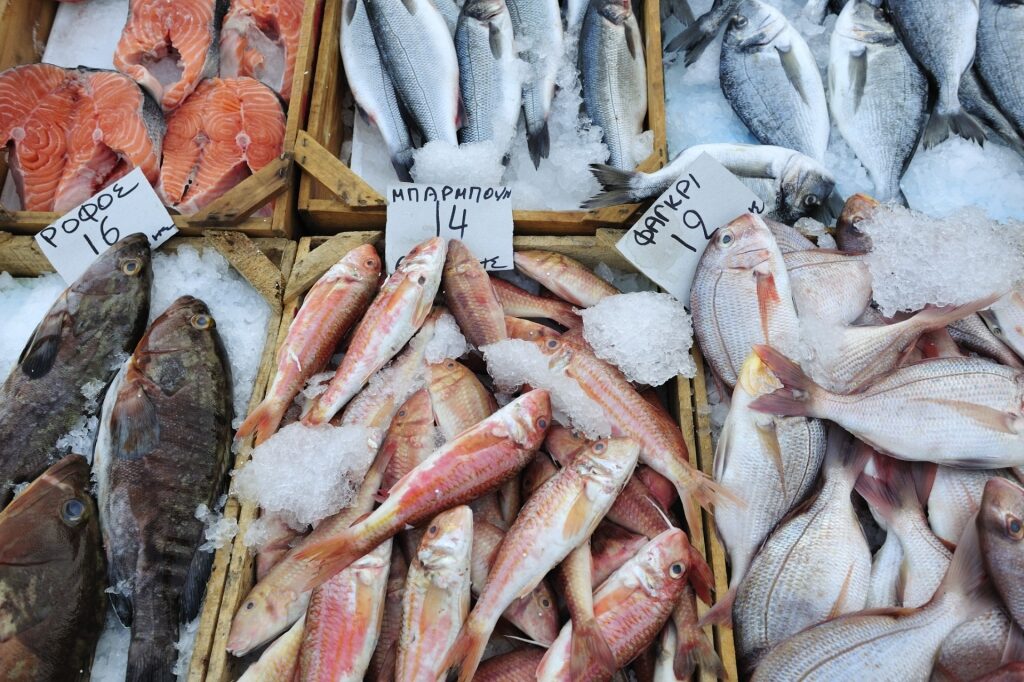 Fresh fish at a market in Greece