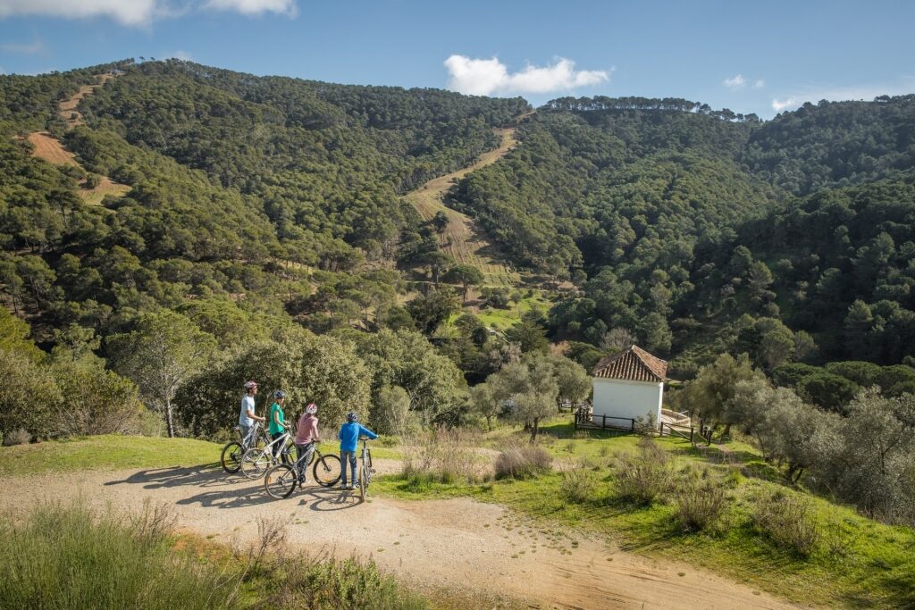 People biking in the lush Montes de Malaga Natural Park