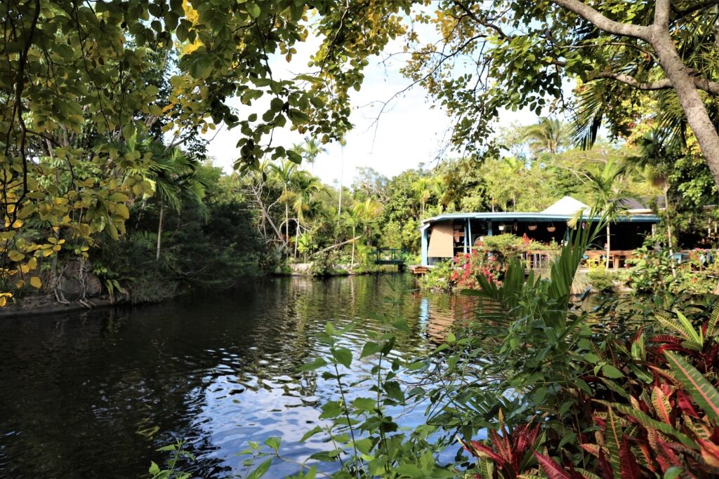 Scenic view of Garden of the Groves in Freeport, Grand Bahama