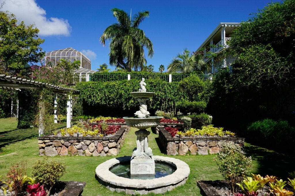 Lush landscape of Botanical Gardens of Nevis