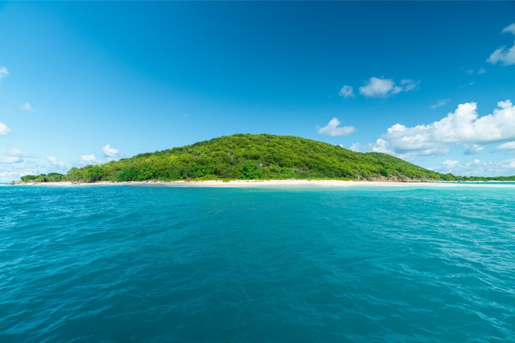 View of Buck Island from the water