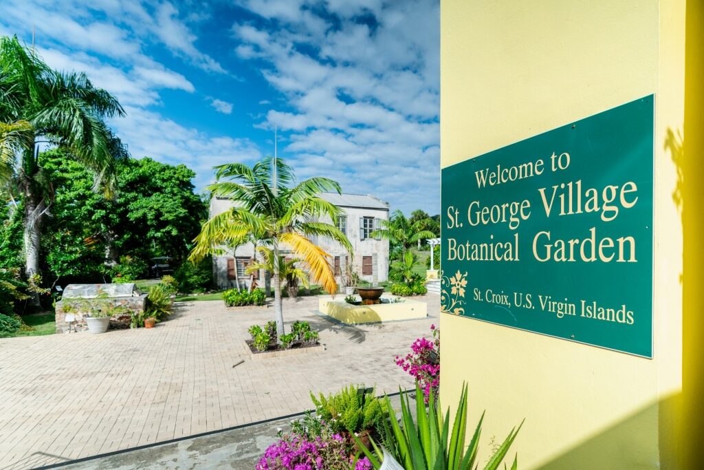 View of St. George Village Botanical Garden in St. Croix, USVI