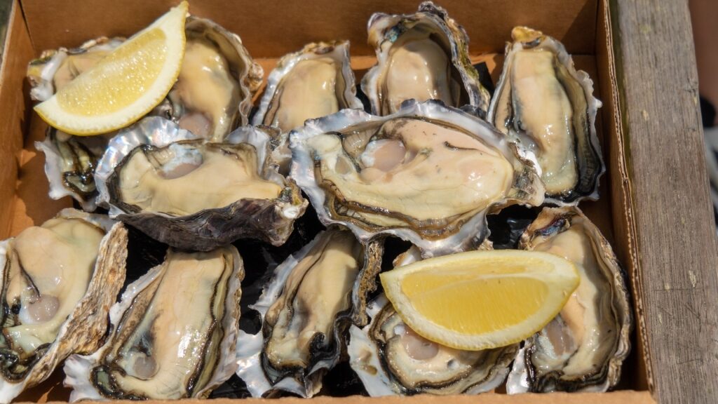 New Zealand food - bluff oysters