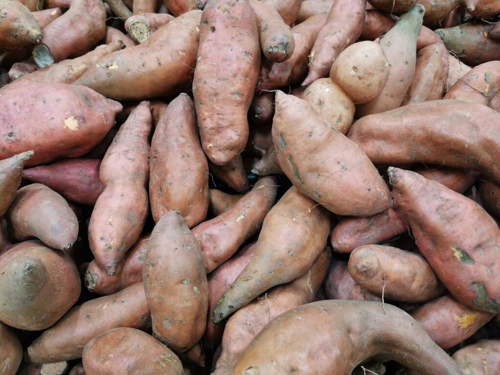 Kūmara at a market in New Zealand