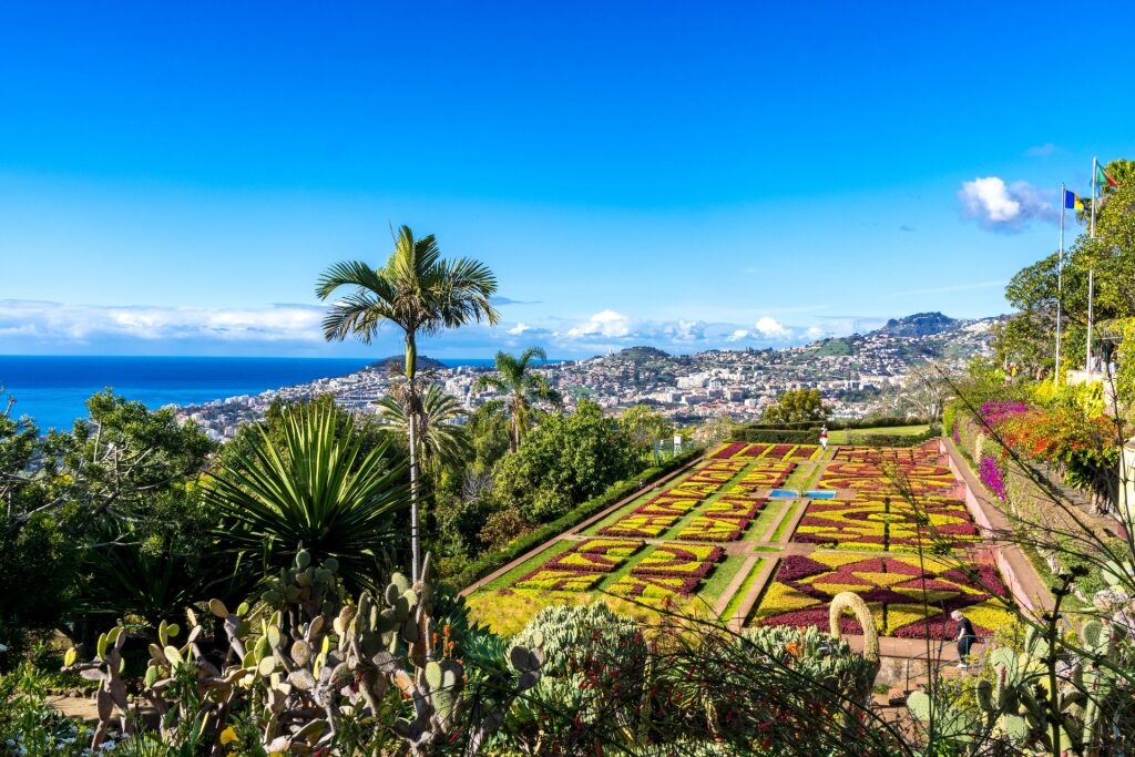 Botanical Garden, one of the best things to do in Funchal