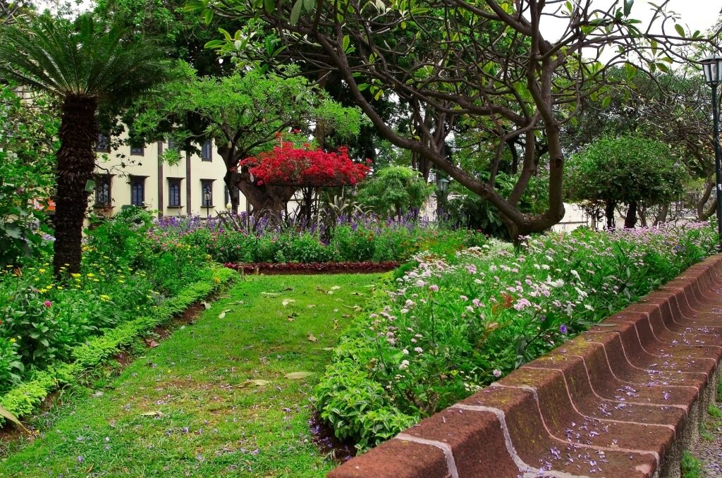 Lush view from Jardim Municipal