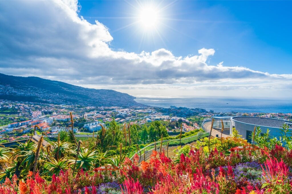 Miradouro do Pico dos Barcelos, one of the best things to do in Funchal