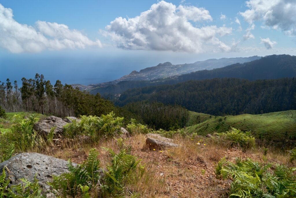 View from Funchal Ecological Park