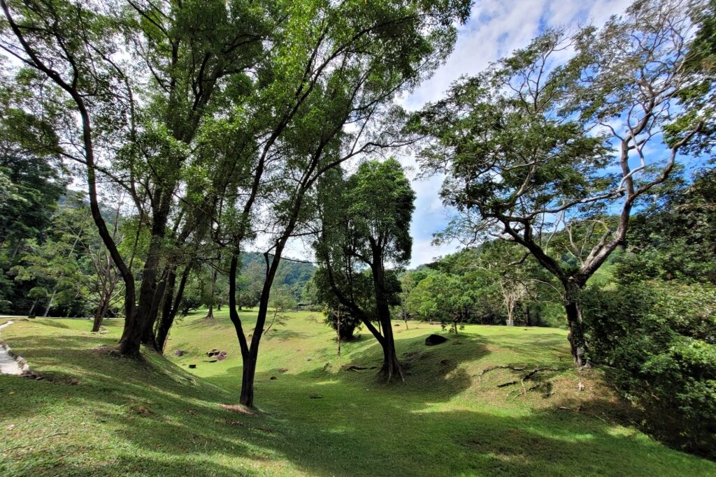 Lush landscape of Penang Botanic Gardens