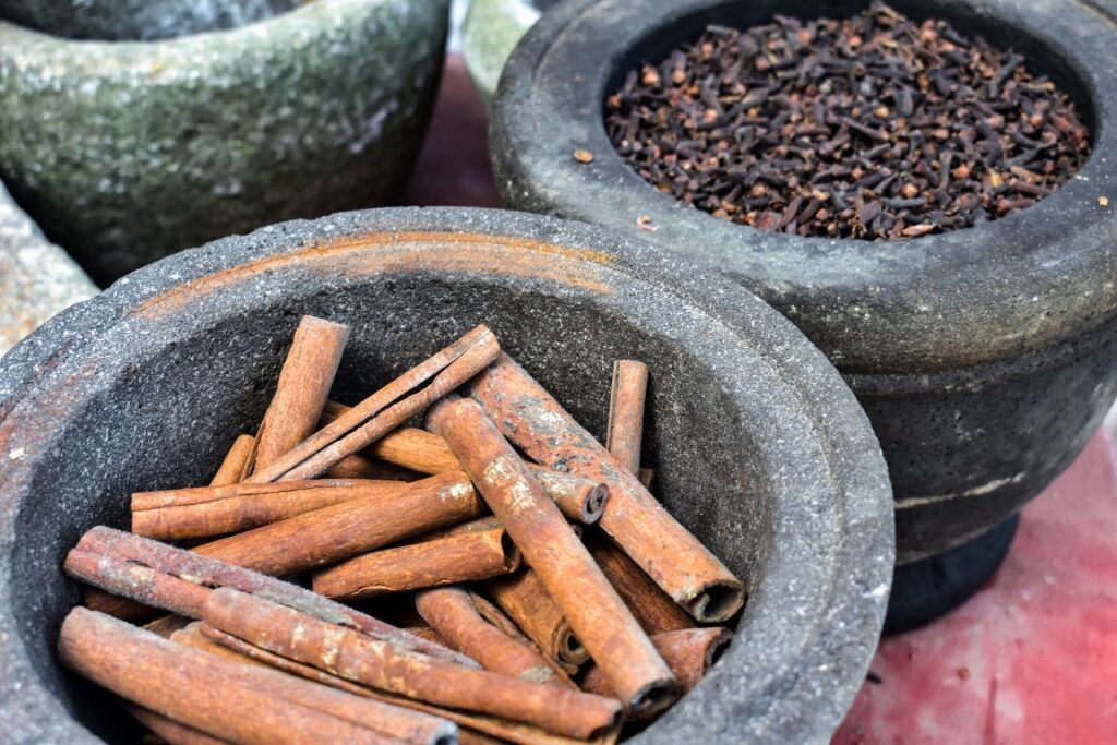 Spices at the Tropical Spice Garden