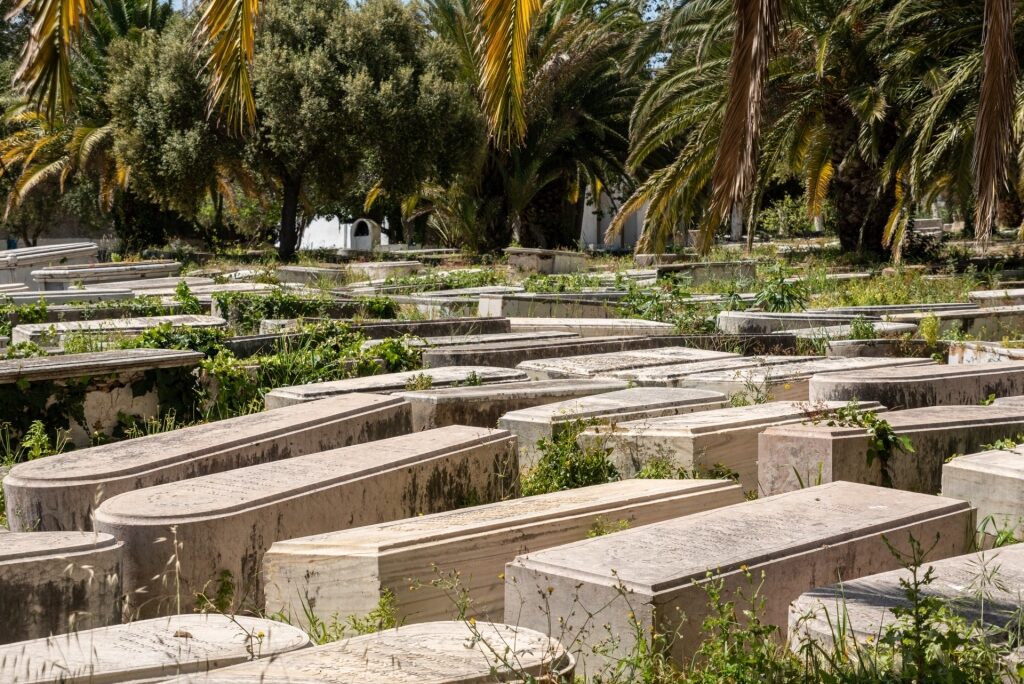 Tombs at the Jewish Cemetery