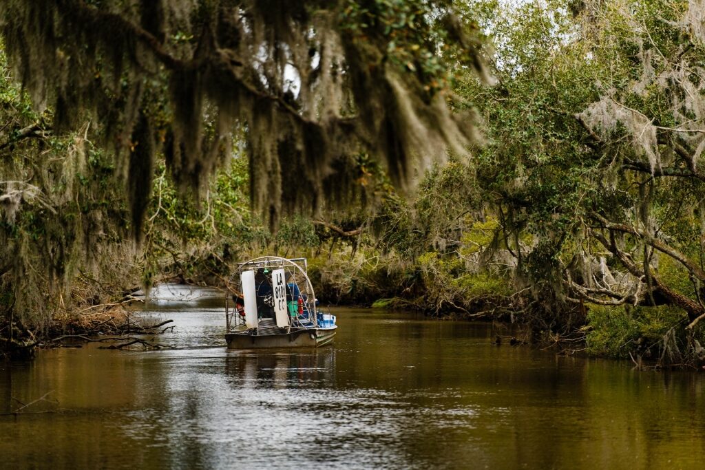 Boat tour in Louisiana swamp