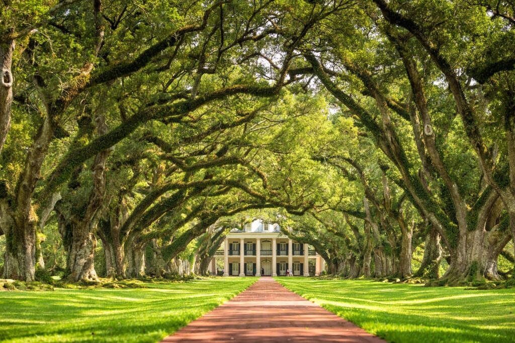 Lush trail in Oak Alley Plantation