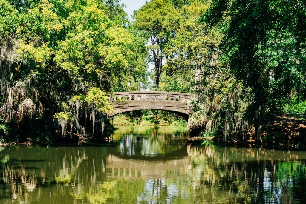 Lush landscape of City Park