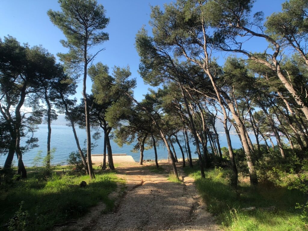 Lush trail in Marjan Forest Park, Split