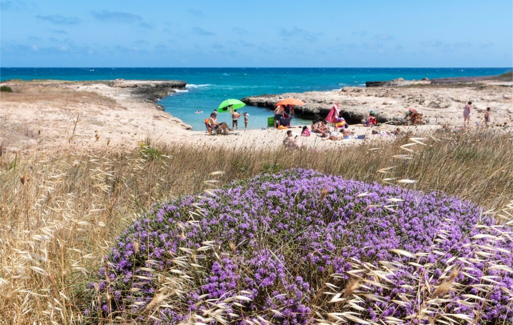 Rocky shoreline of Spiaggia Costa Merlata, Ostuni