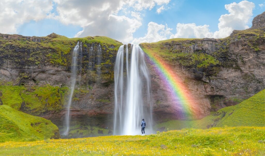 Majestic landscape of Seljalandsfoss