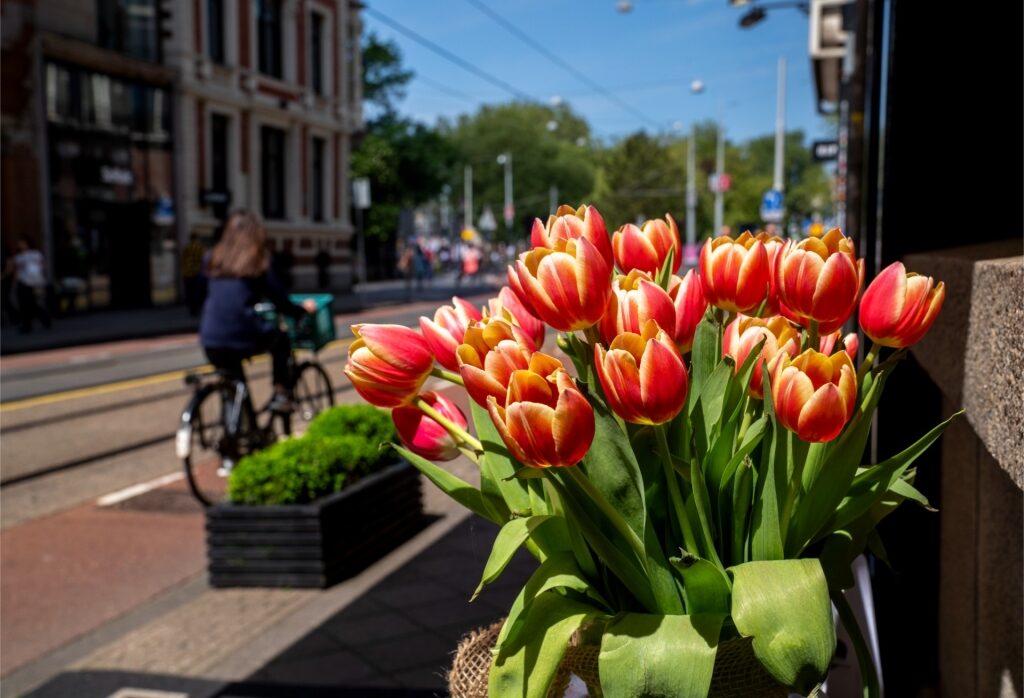 View of Amsterdam, Netherlands in spring