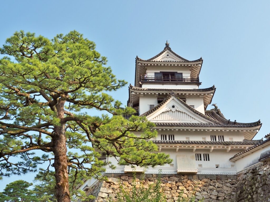 Pretty architecture of Kochi Castle, Kochi