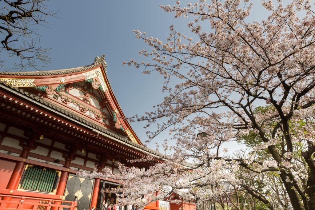 Senso-ji Temple, Tokyo, one of the best places to visit in Japan for first timers