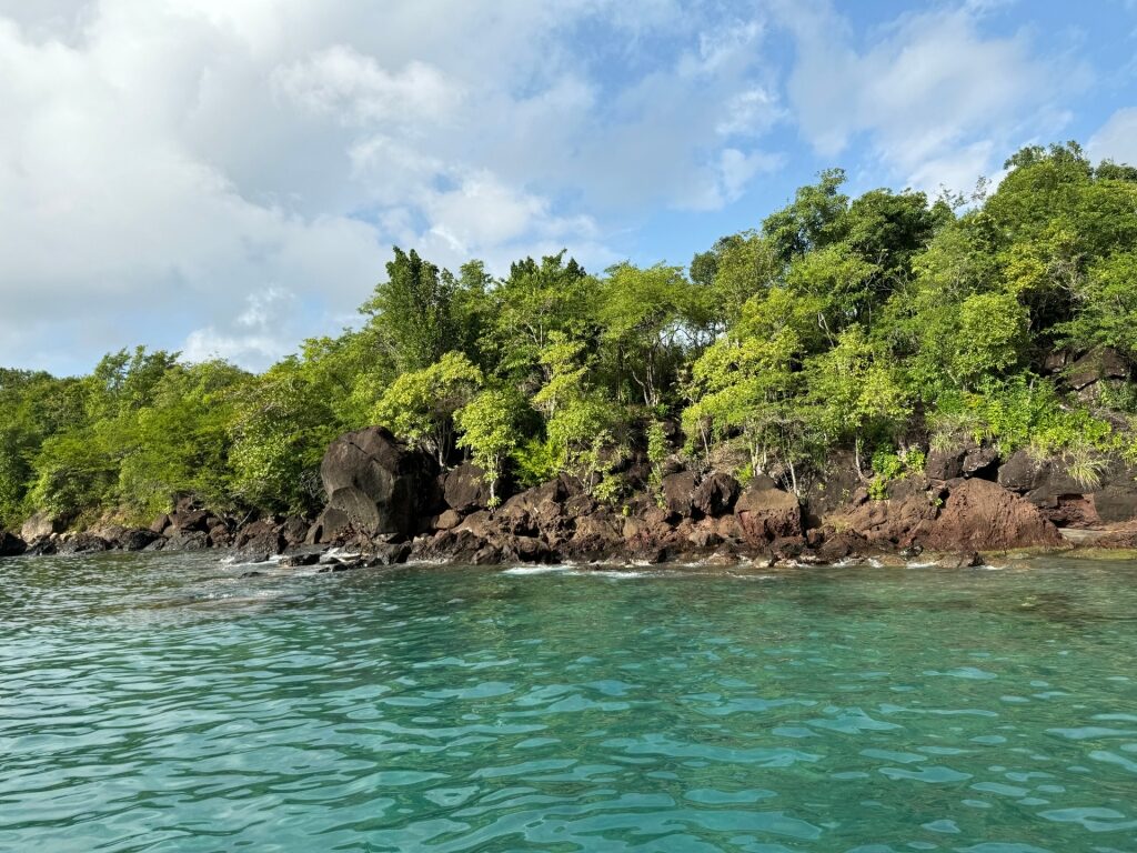 Lush shoreline of Anse Cochon