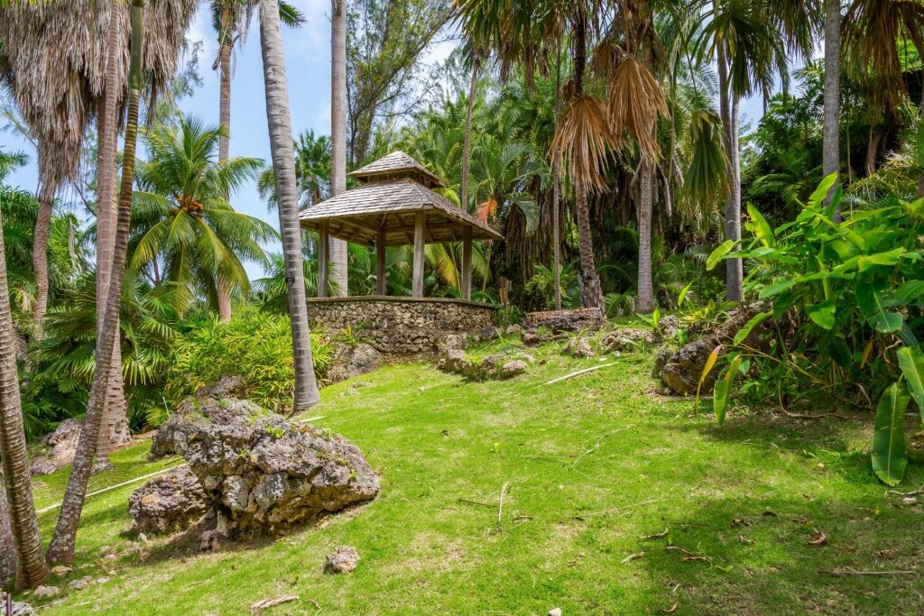 Lush landscape of the Andromeda Botanic Gardens