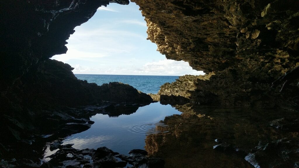 Scenic view from Animal Flower Cave