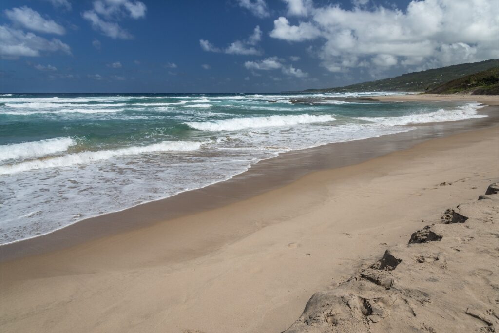 Scenic shoreline of Cattlewash