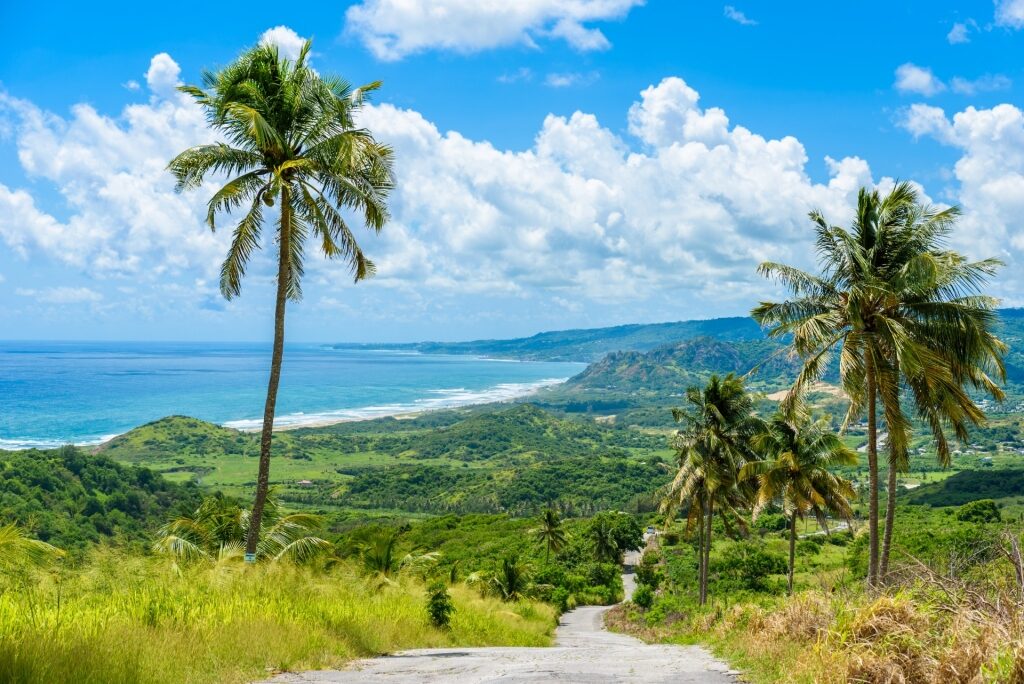 View from Cherry Tree Hill