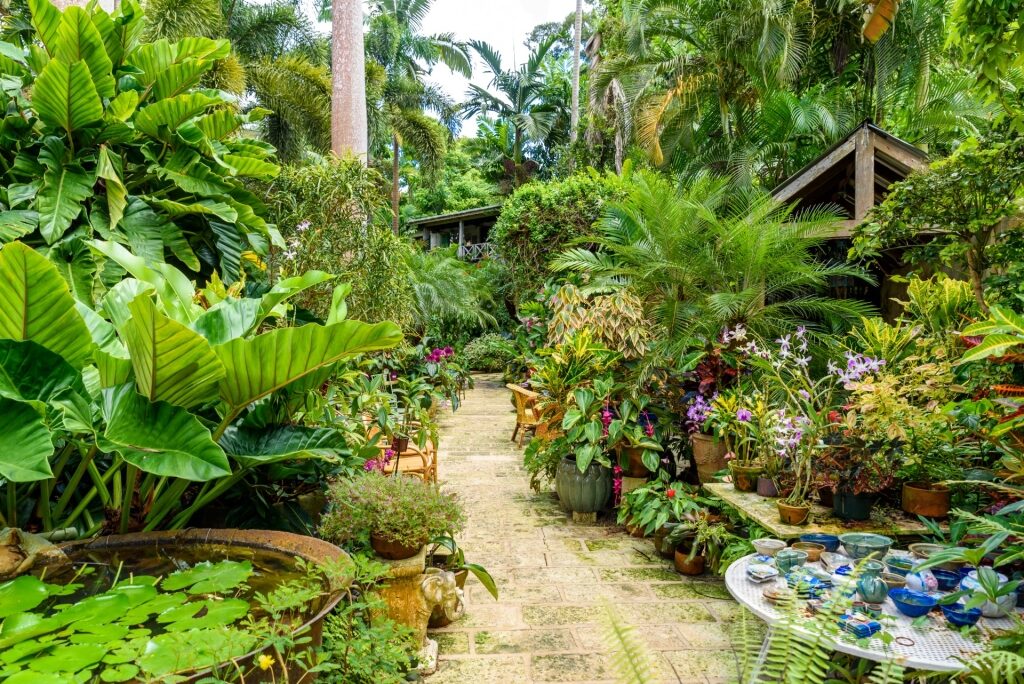 Lush landscape of Hunte’s Gardens