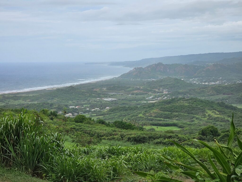 Scenic view from Mount Hillaby