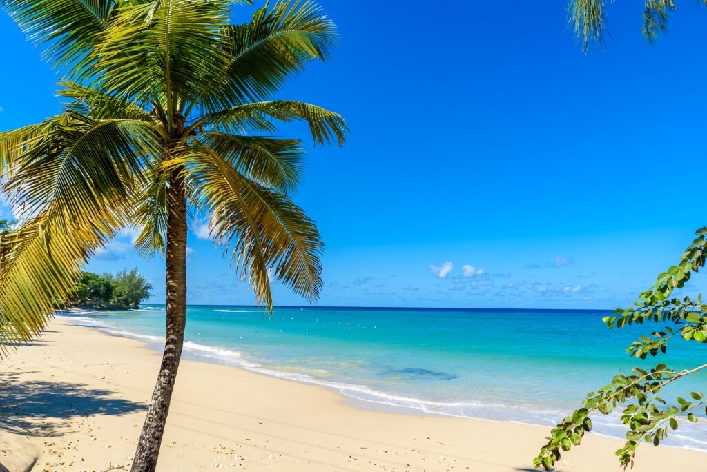 Soft sands of Mullins Beach