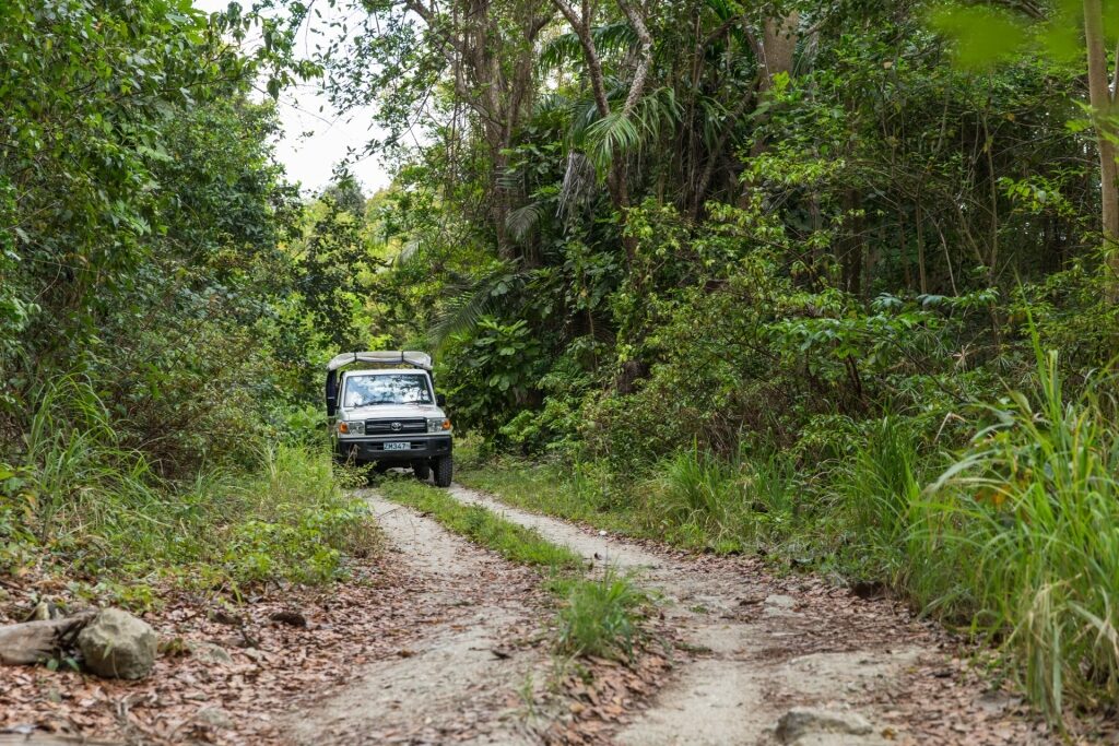 4WD vehicle in Barbados